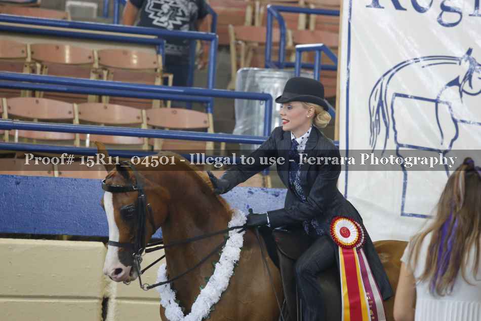 Proof Number 15R11_04501