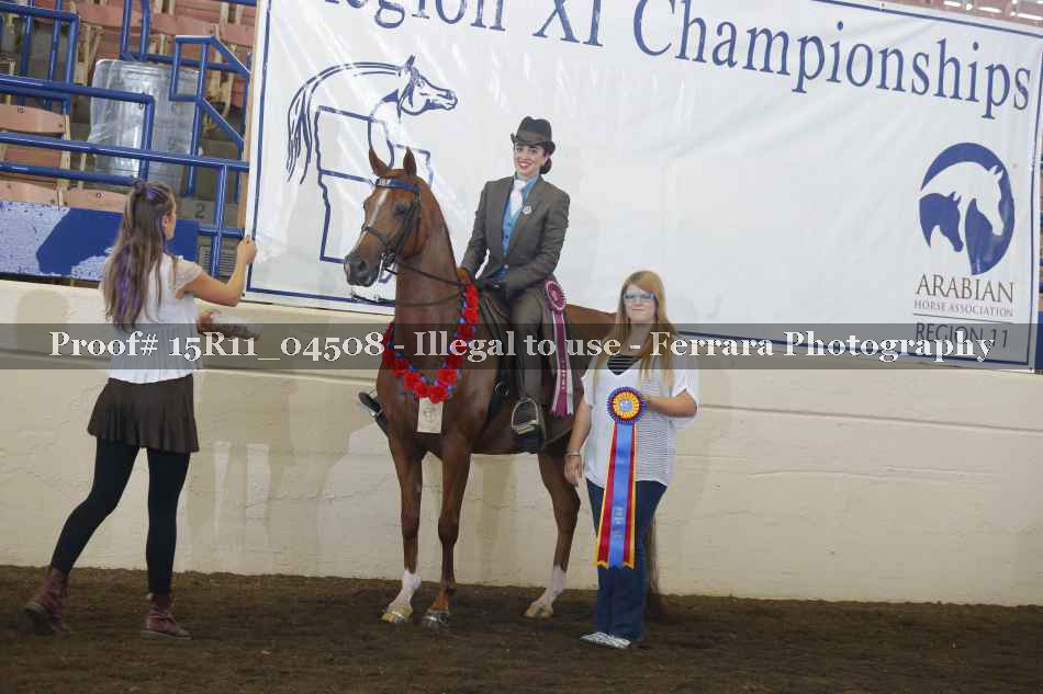 Proof Number 15R11_04508