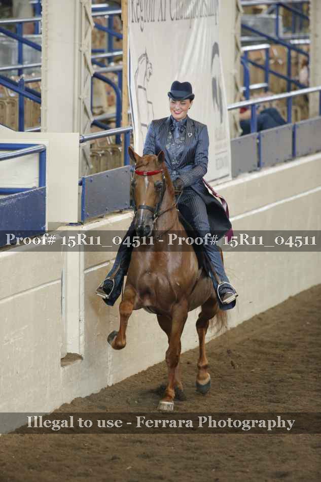 Proof Number 15R11_04511