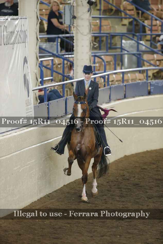 Proof Number 15R11_04516