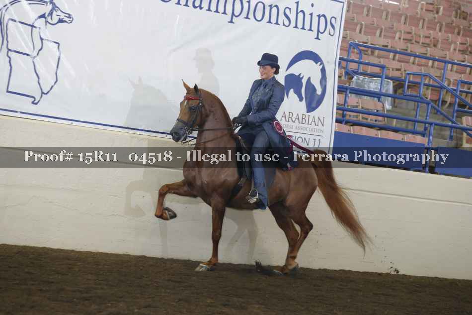 Proof Number 15R11_04518