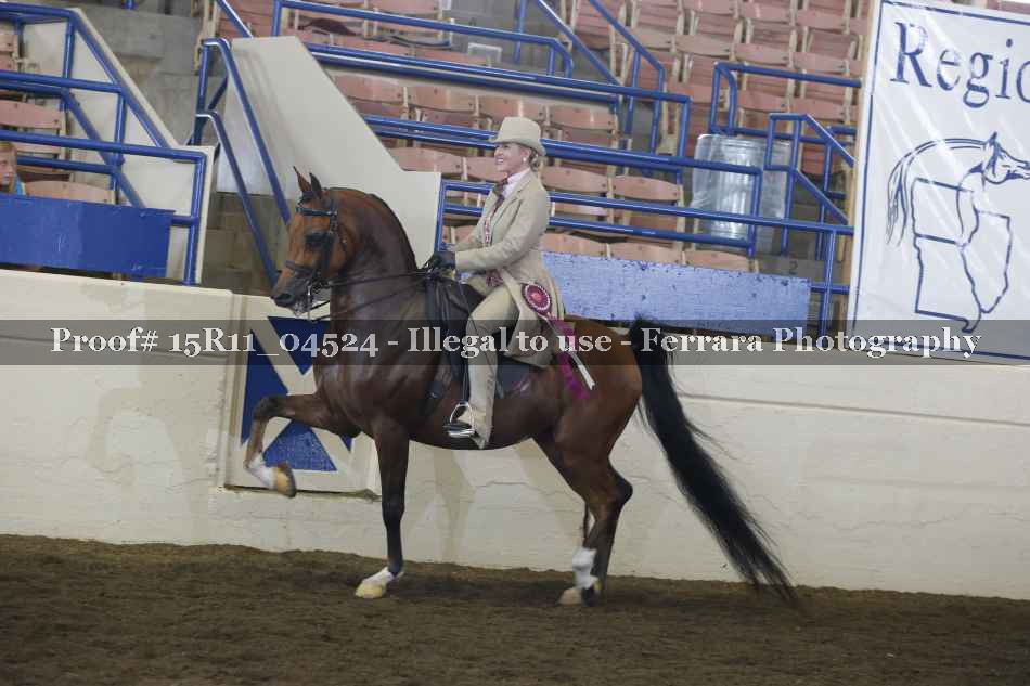 Proof Number 15R11_04524