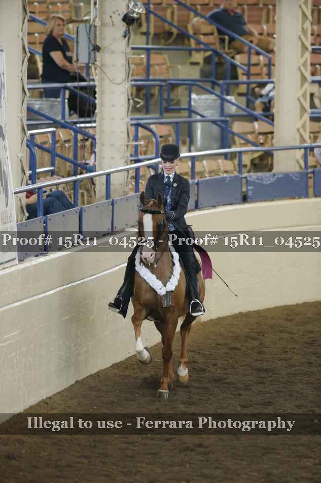 Proof Number 15R11_04525