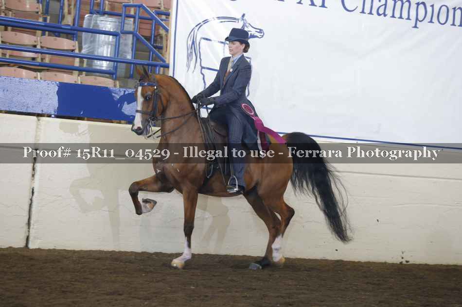Proof Number 15R11_04529