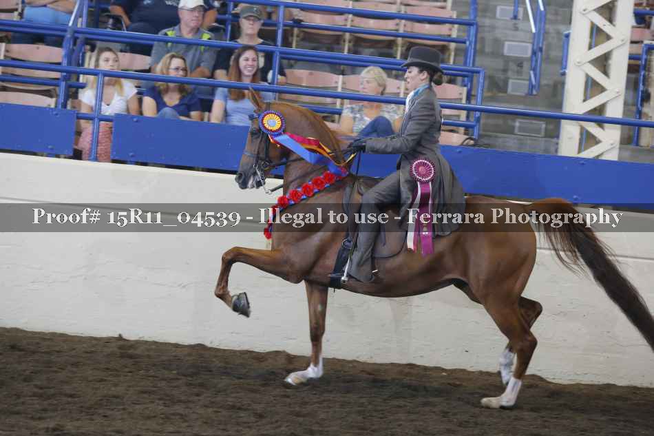 Proof Number 15R11_04539