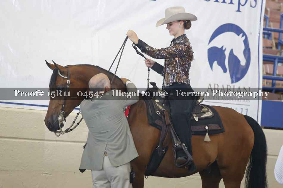 Proof Number 15R11_04547