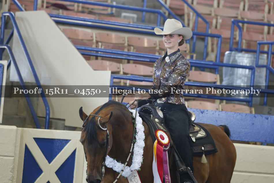 Proof Number 15R11_04550