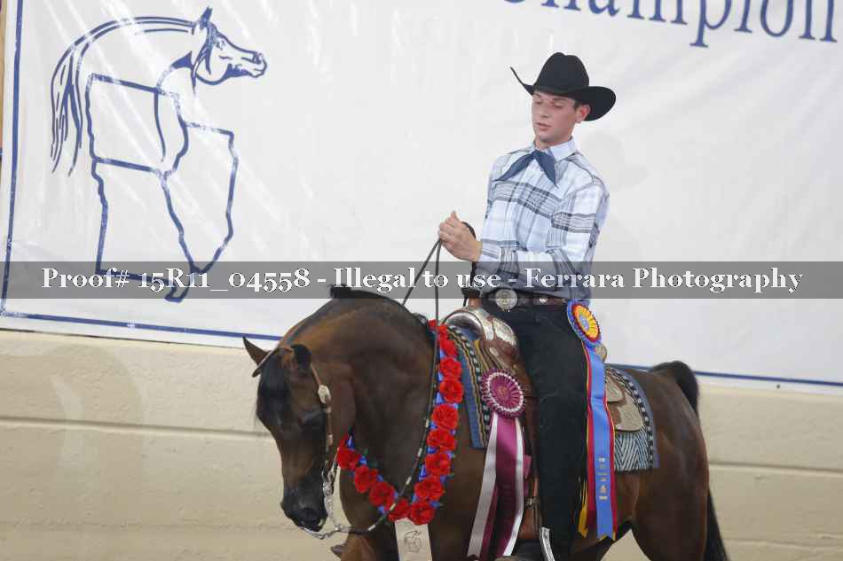 Proof Number 15R11_04558