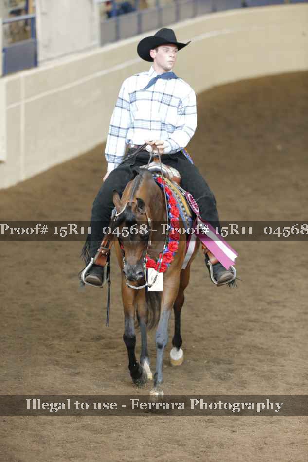Proof Number 15R11_04568