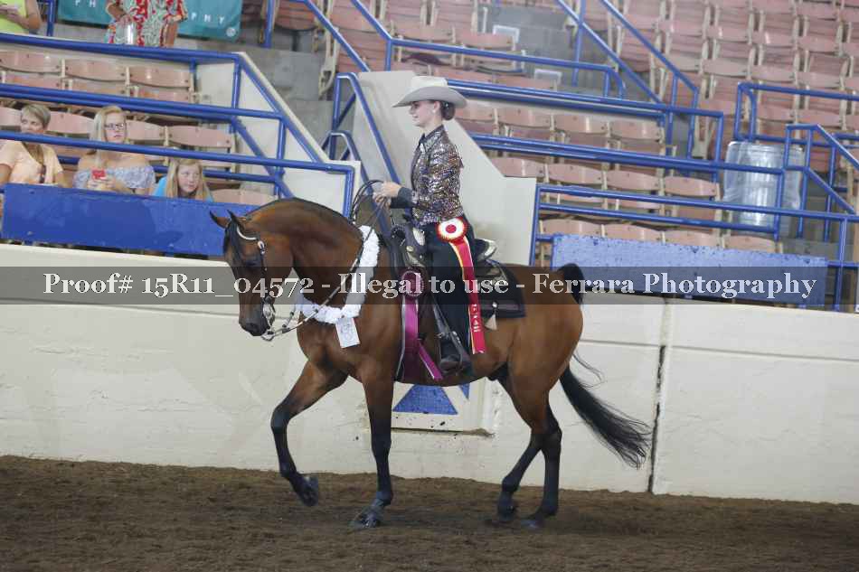 Proof Number 15R11_04572