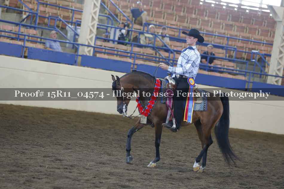 Proof Number 15R11_04574