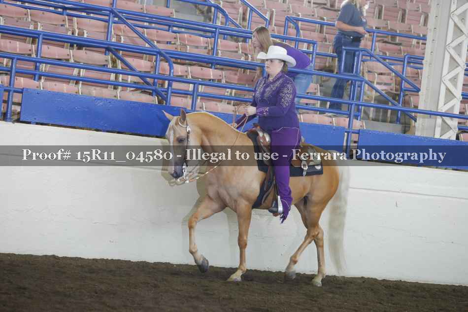 Proof Number 15R11_04580