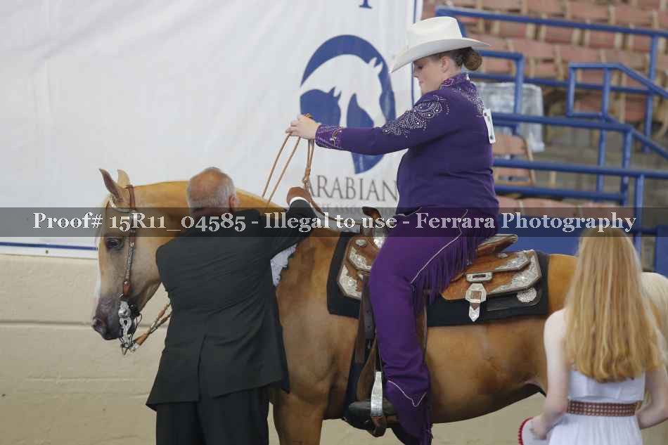 Proof Number 15R11_04585