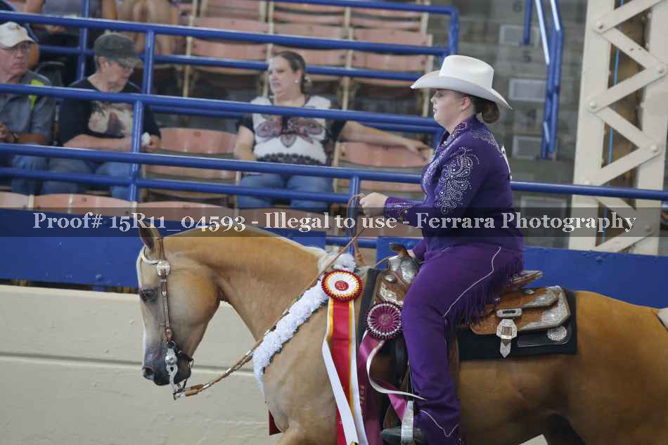 Proof Number 15R11_04593