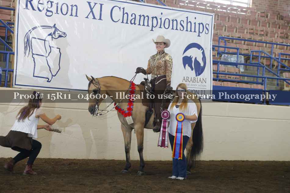 Proof Number 15R11_04600