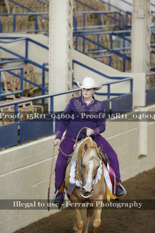 Proof Number 15R11_04604
