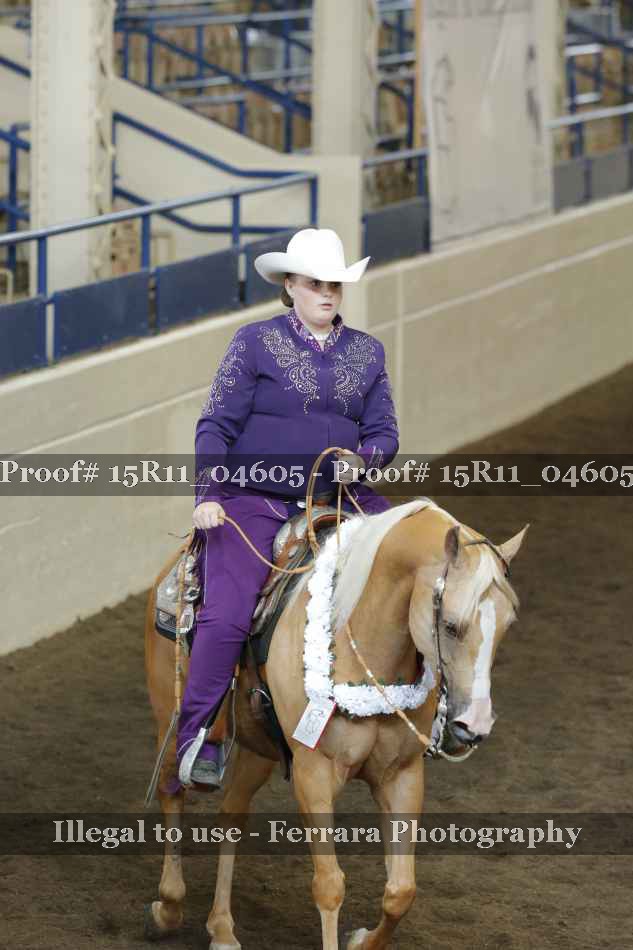 Proof Number 15R11_04605