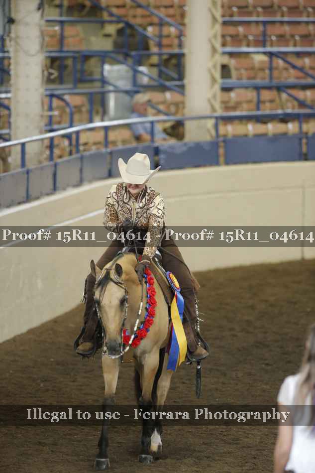 Proof Number 15R11_04614