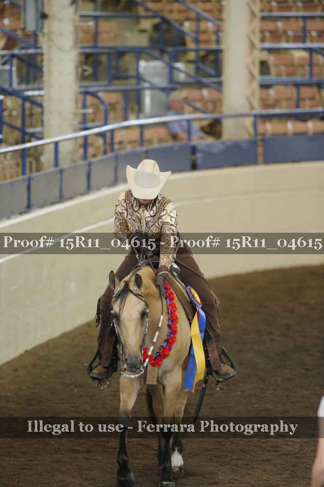 Proof Number 15R11_04615