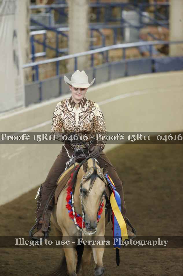 Proof Number 15R11_04616