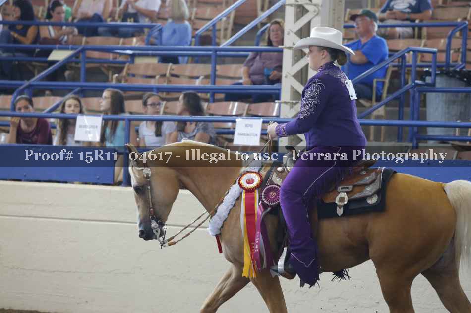 Proof Number 15R11_04617
