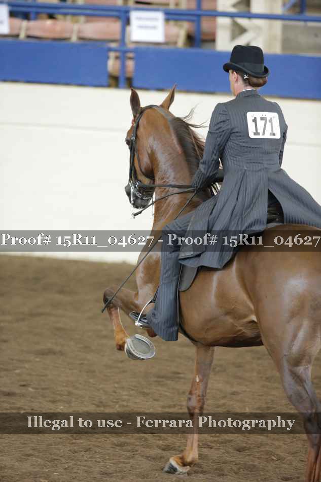 Proof Number 15R11_04627
