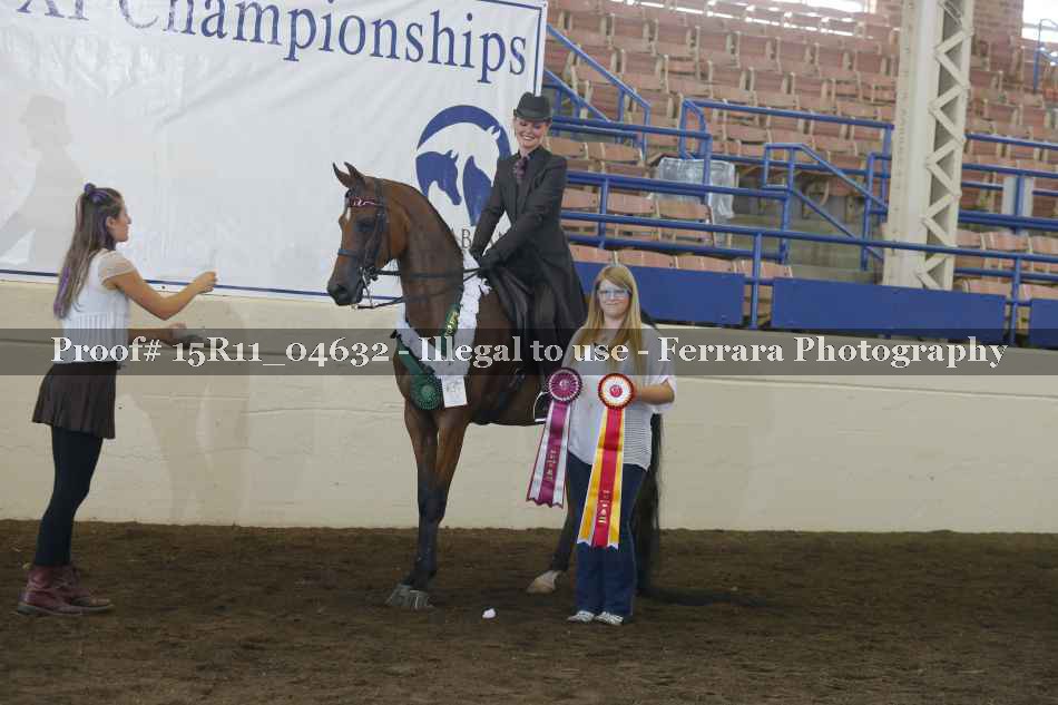 Proof Number 15R11_04632