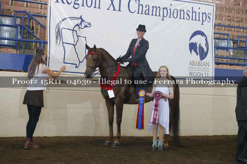 Proof Number 15R11_04636