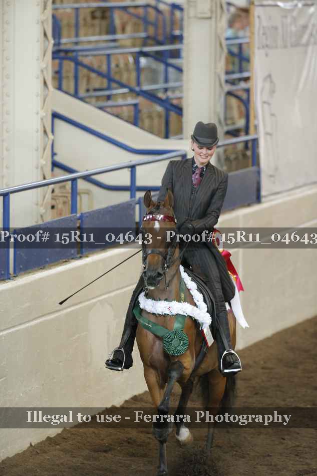 Proof Number 15R11_04643