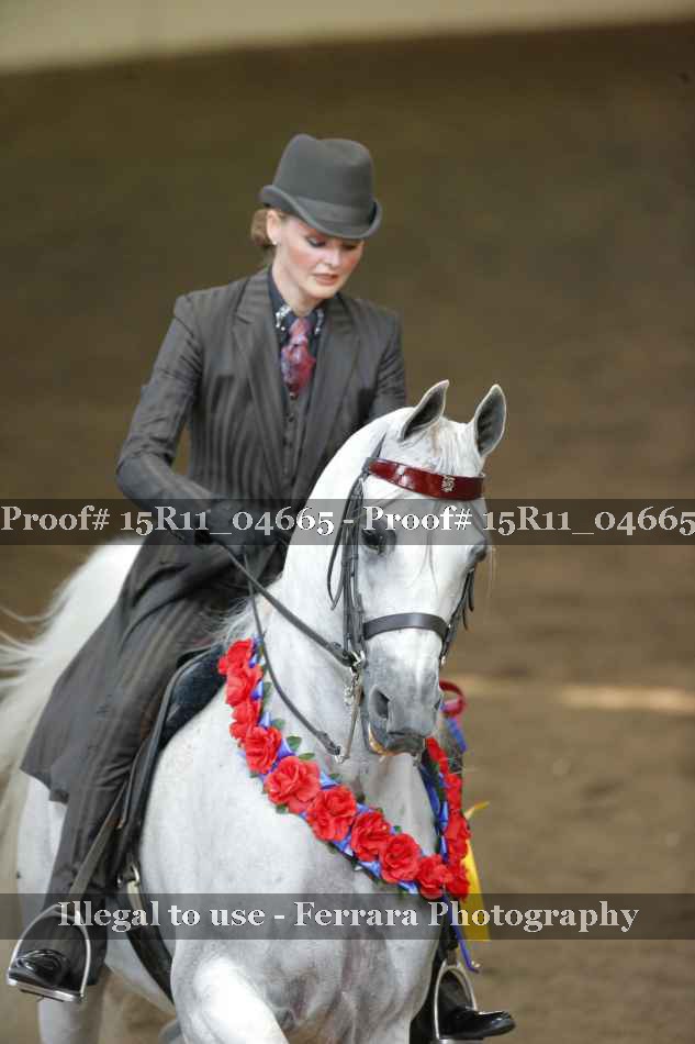Proof Number 15R11_04665