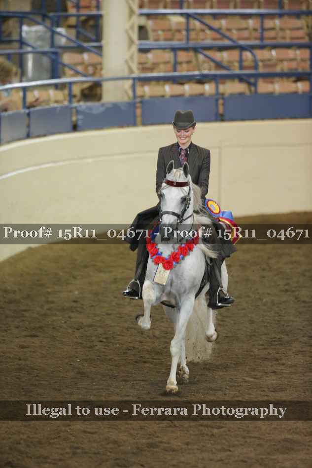 Proof Number 15R11_04671
