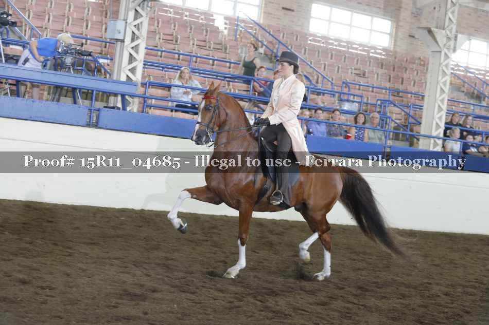 Proof Number 15R11_04685