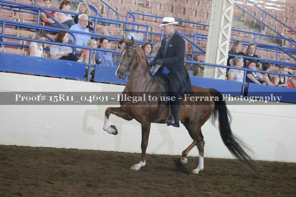 Proof Number 15R11_04691