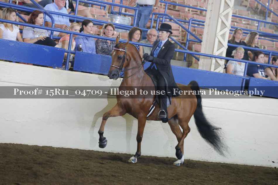 Proof Number 15R11_04709