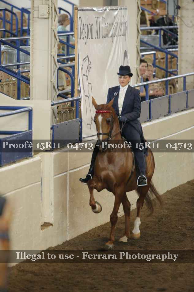 Proof Number 15R11_04713