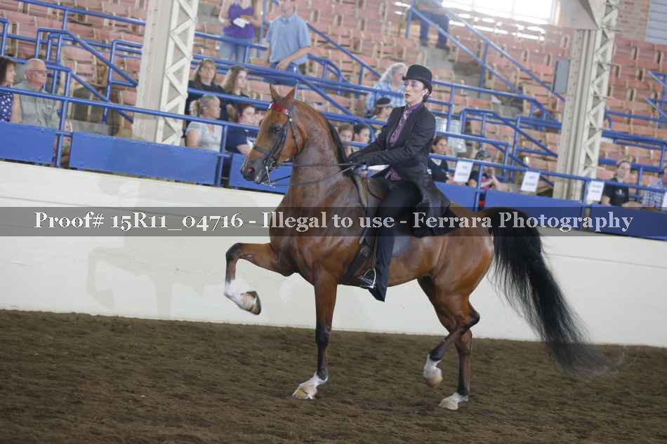 Proof Number 15R11_04716