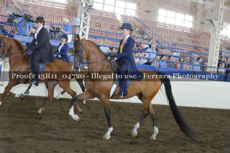 Proof Number 15R11_04720