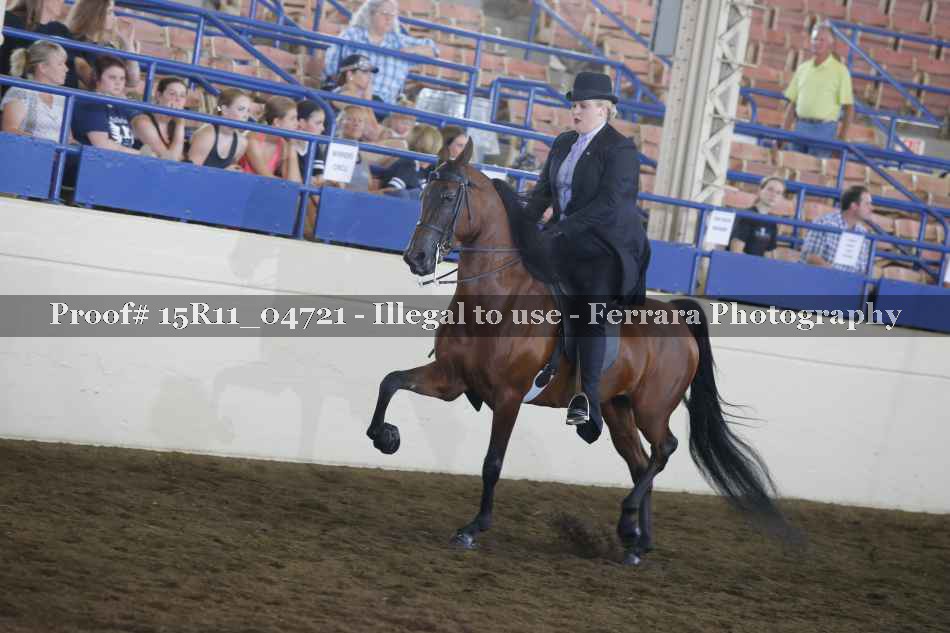Proof Number 15R11_04721