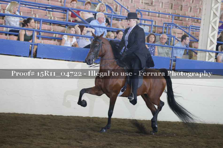 Proof Number 15R11_04722