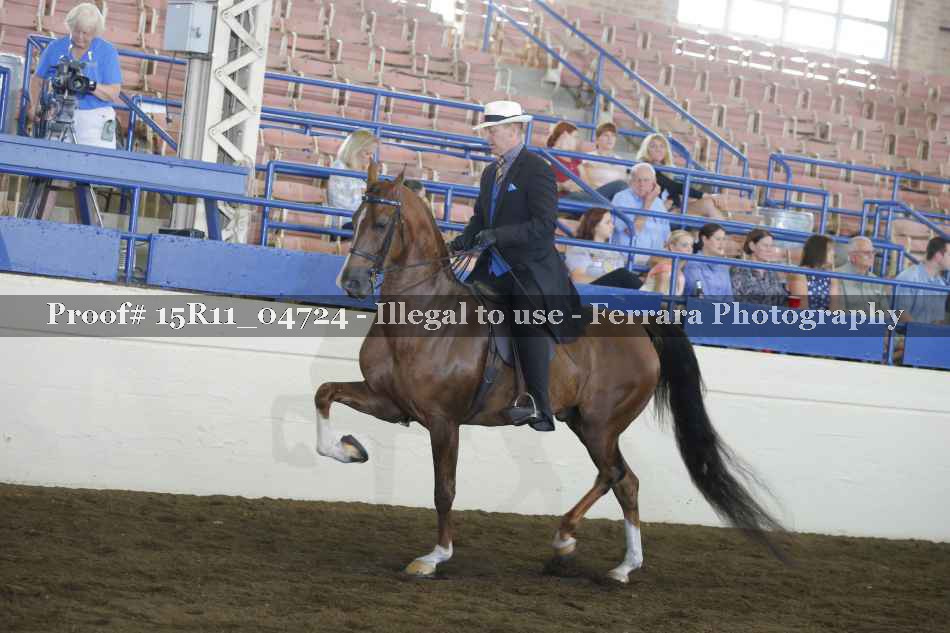 Proof Number 15R11_04724