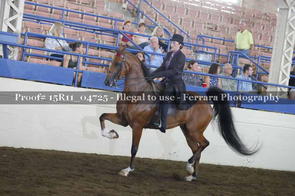 Proof Number 15R11_04725