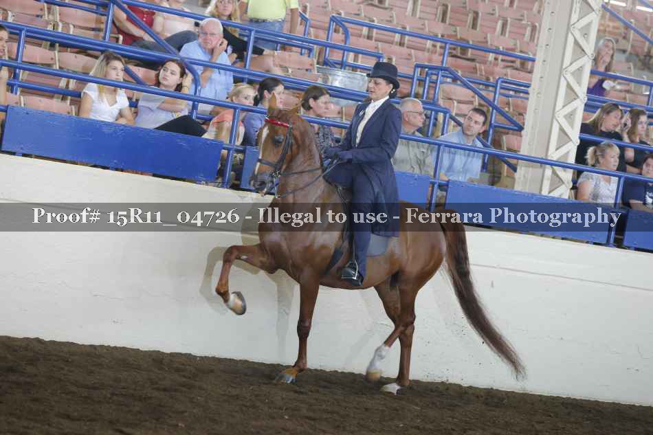 Proof Number 15R11_04726