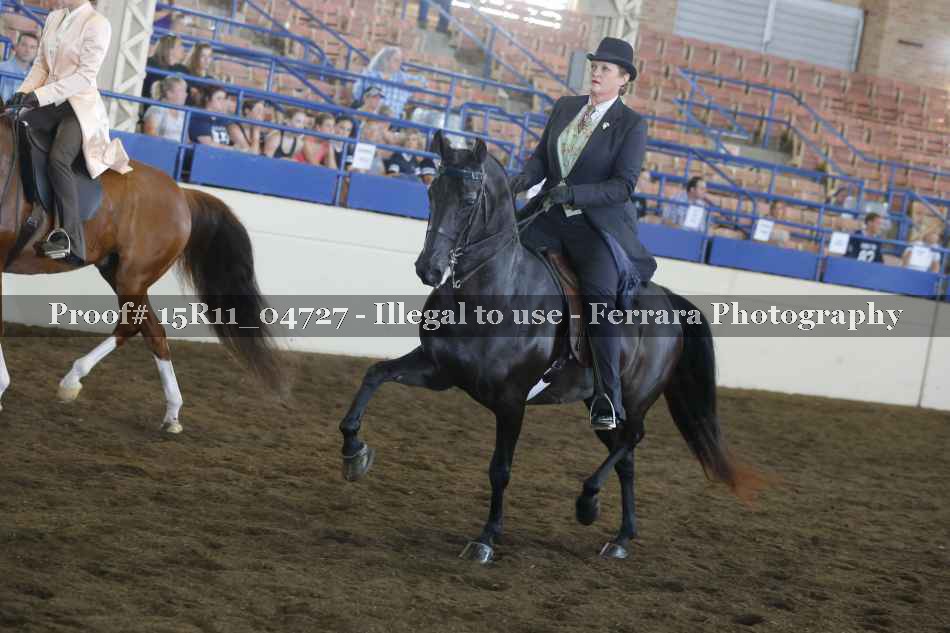 Proof Number 15R11_04727