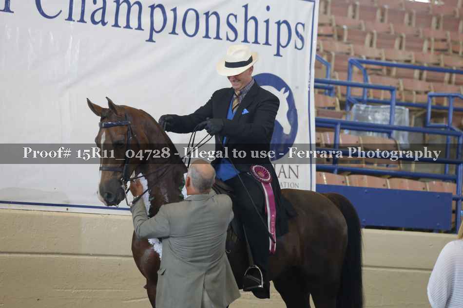 Proof Number 15R11_04728
