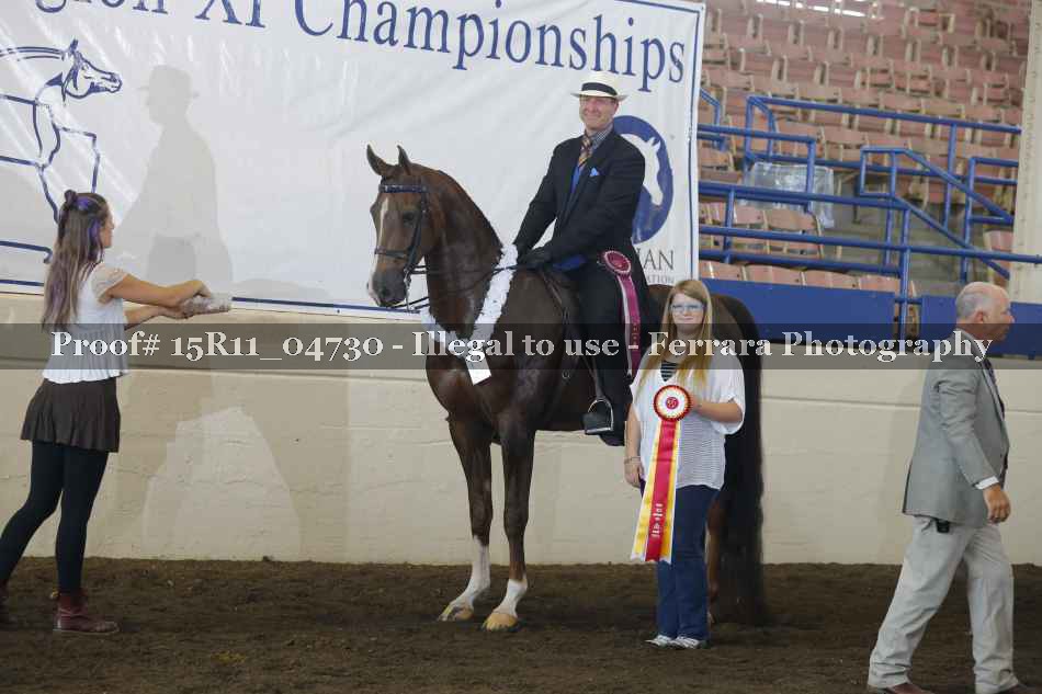 Proof Number 15R11_04730