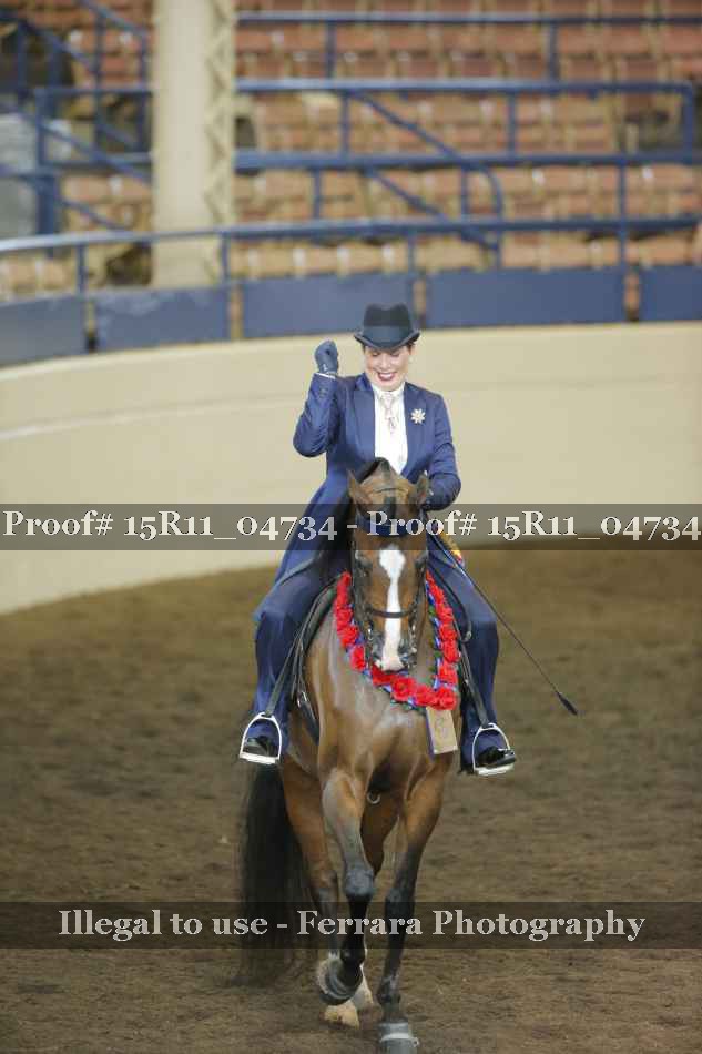 Proof Number 15R11_04734
