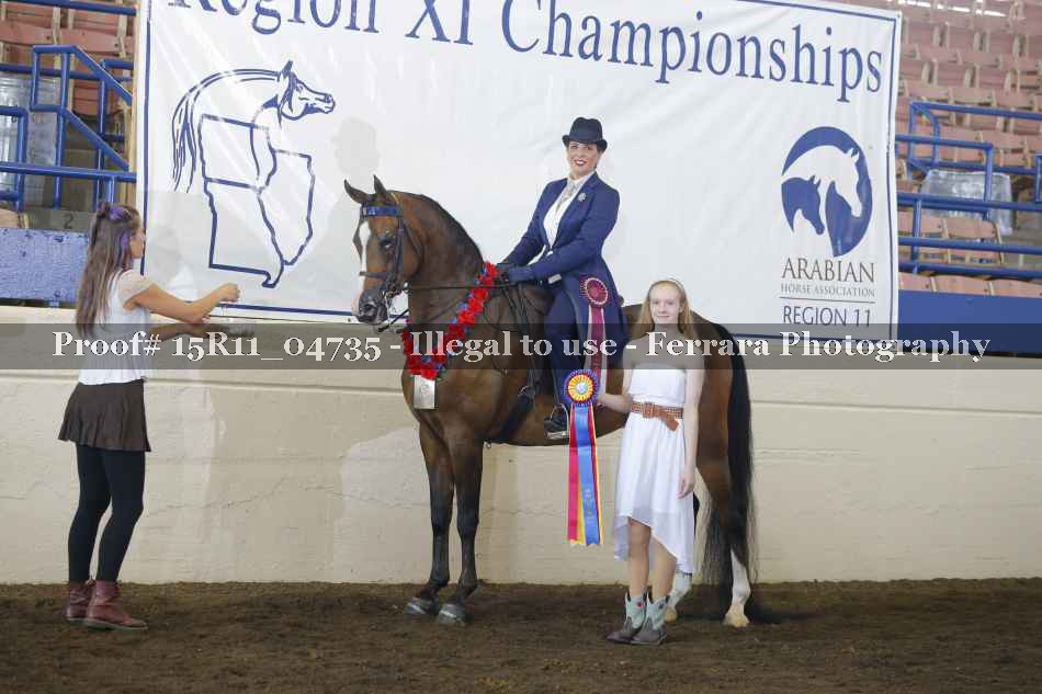 Proof Number 15R11_04735