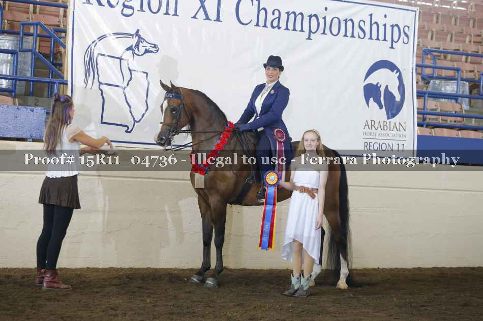 Proof Number 15R11_04736