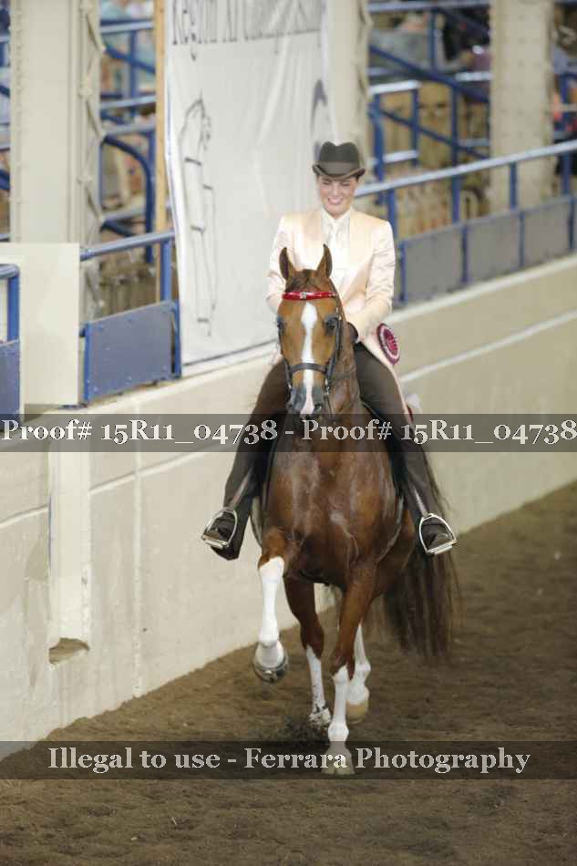 Proof Number 15R11_04738