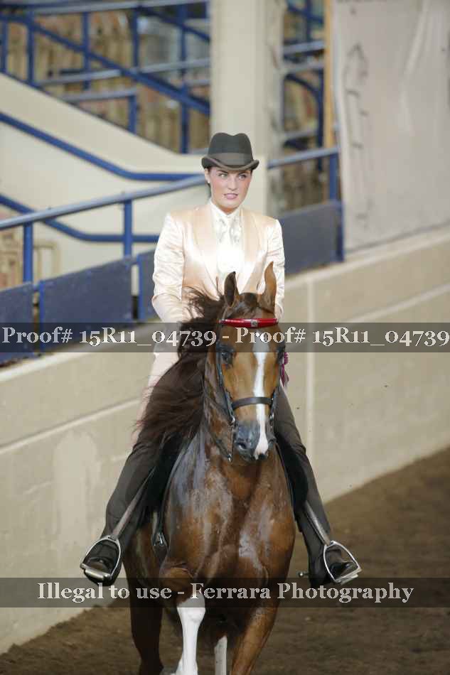 Proof Number 15R11_04739